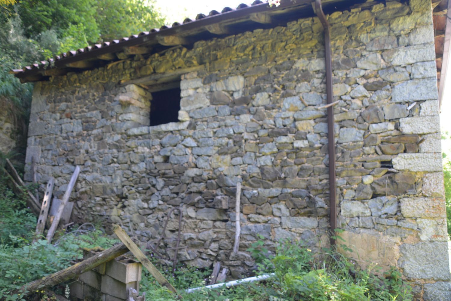 Casas o chalets-Venta-Oseja de Sajambre-876609-Foto-15