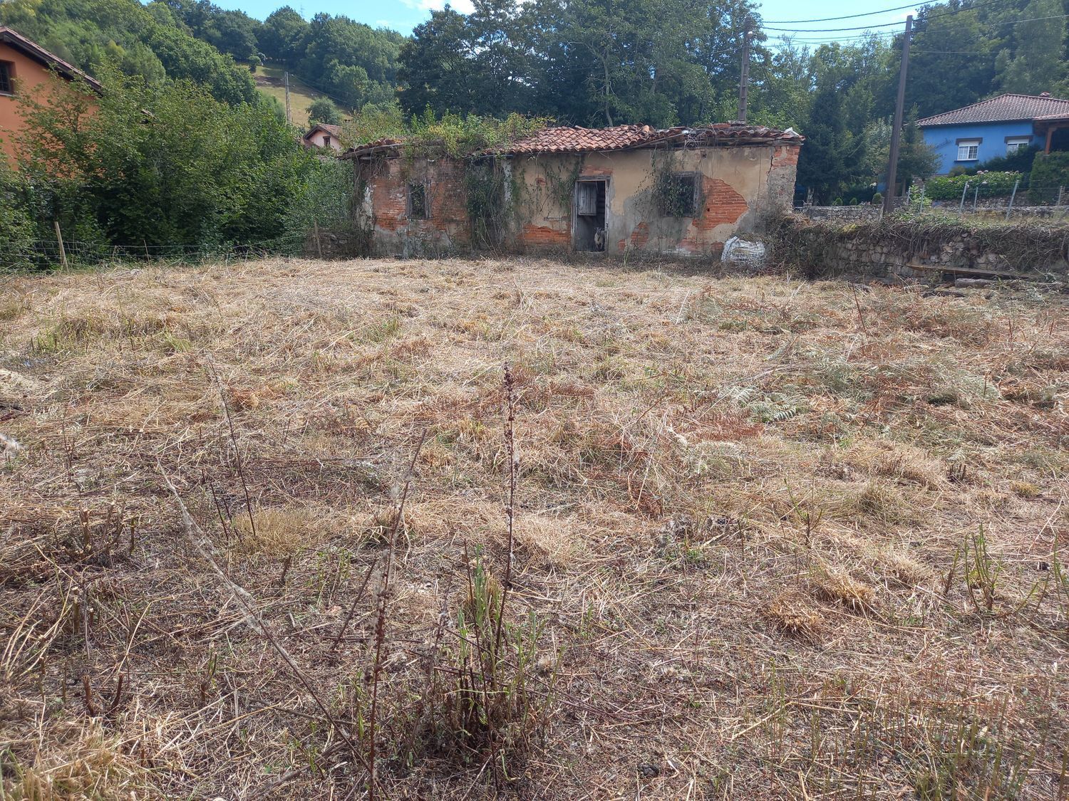 Casas o chalets-Venta-Piloña-925013