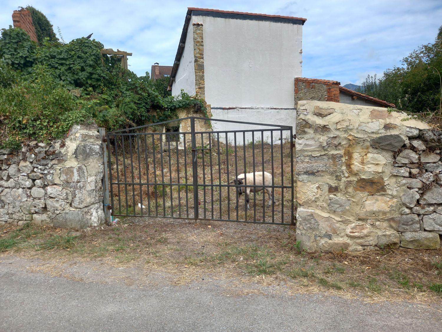 Casas o chalets-Venta-PiloÃ±a-925013-Foto-9