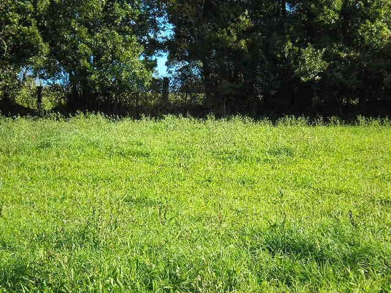 Fincas y solares-Venta-Cudillero-911053-Foto-3