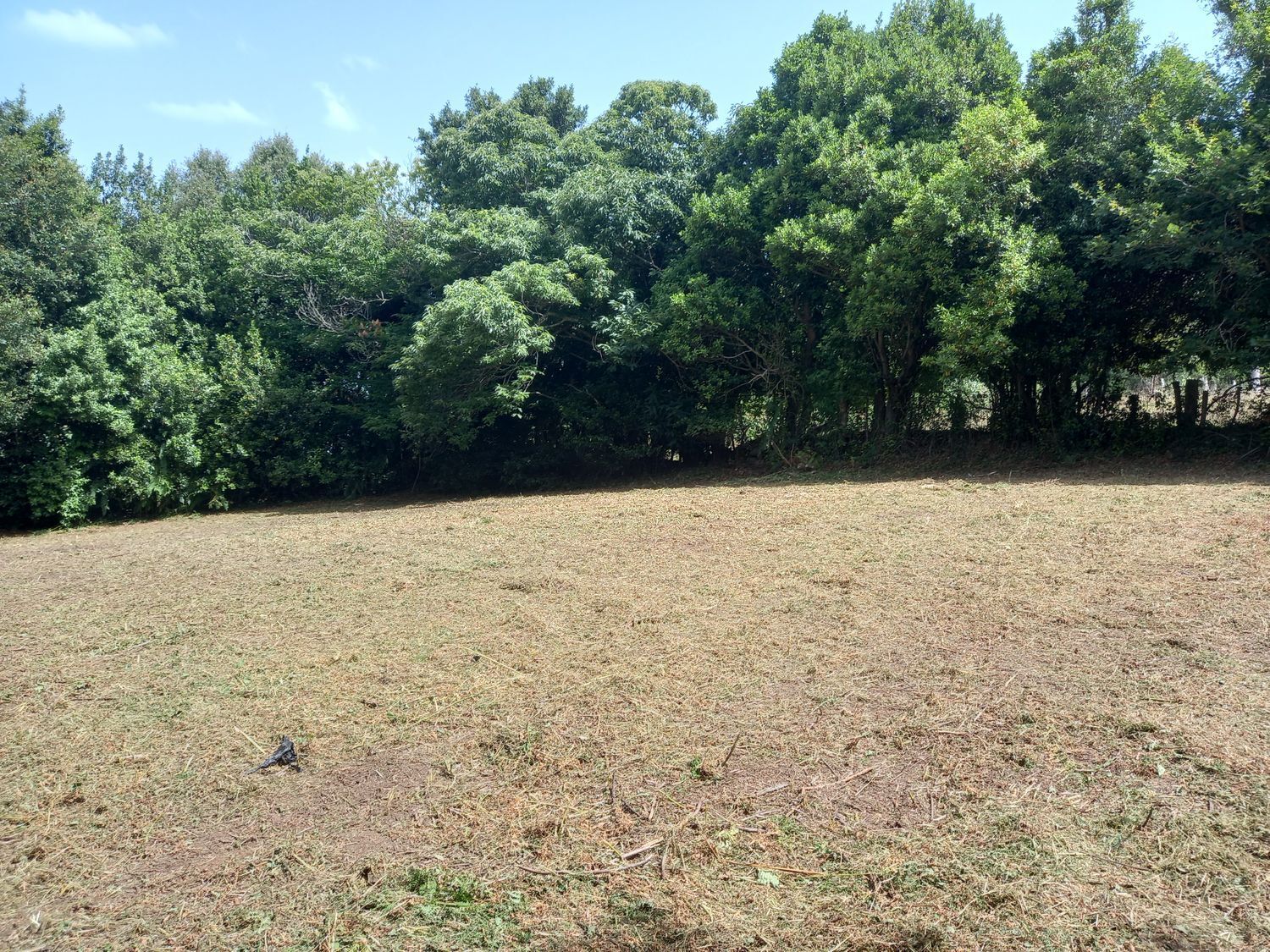 Fincas y solares-Venta-Cudillero-911053