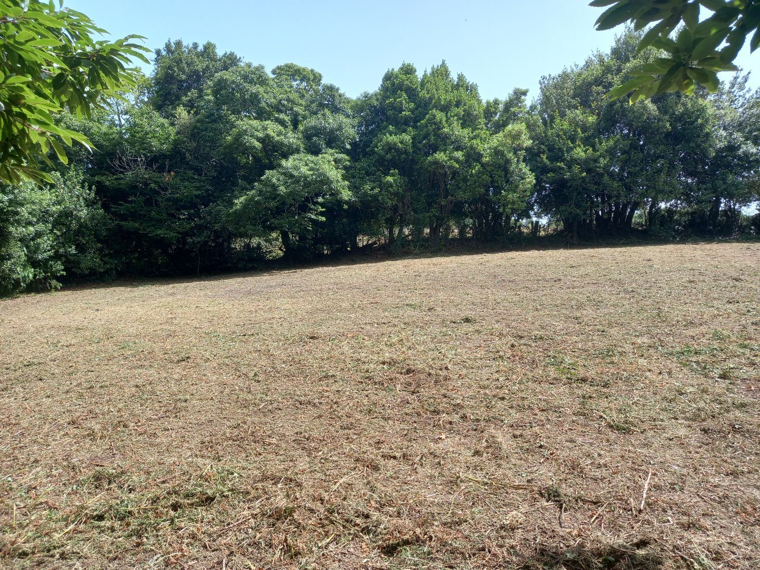 Fincas y solares-Venta-Cudillero-911053-Foto-10