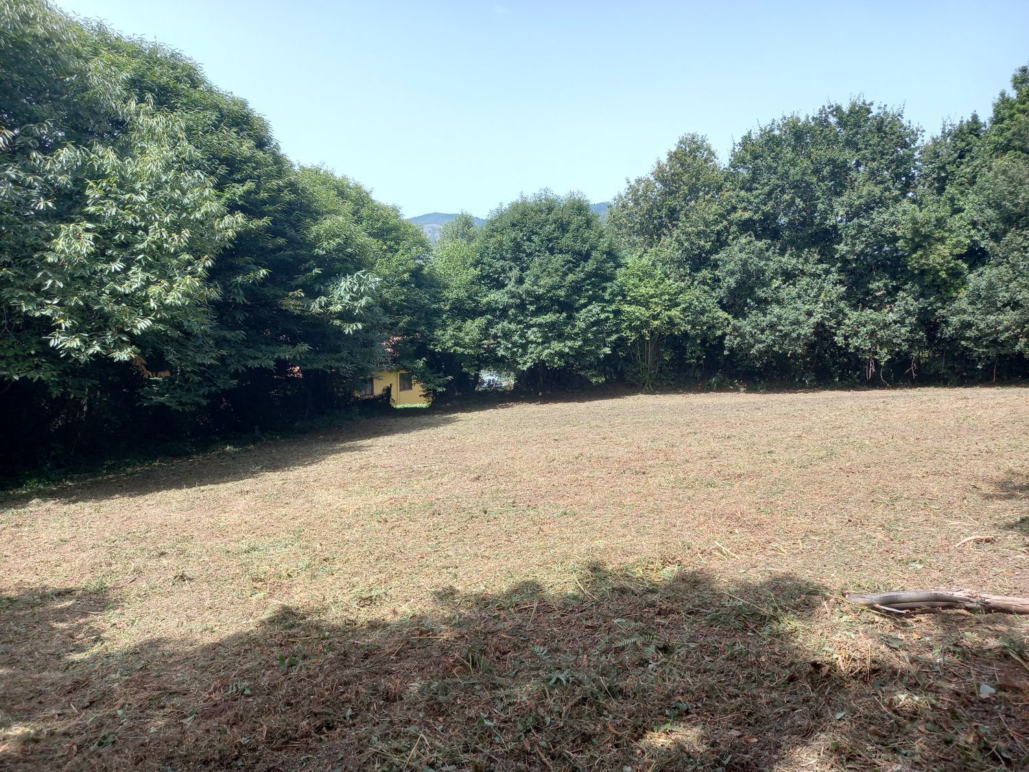 Fincas y solares-Venta-Cudillero-911053-Foto-11