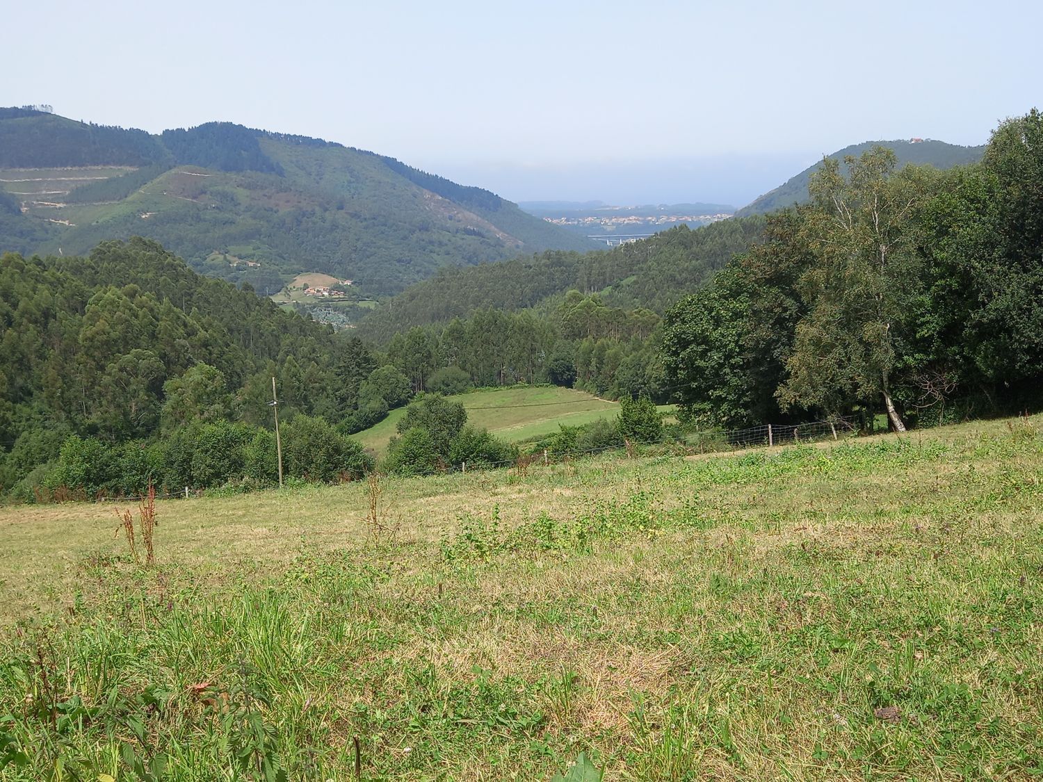 Fincas y solares-Venta-Cudillero-911053-Foto-21