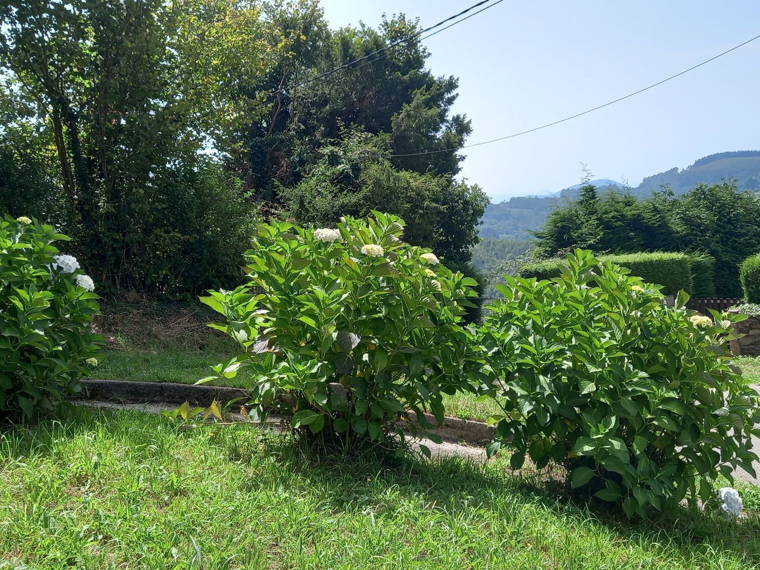 Fincas y solares-Venta-Cudillero-911053-Foto-26