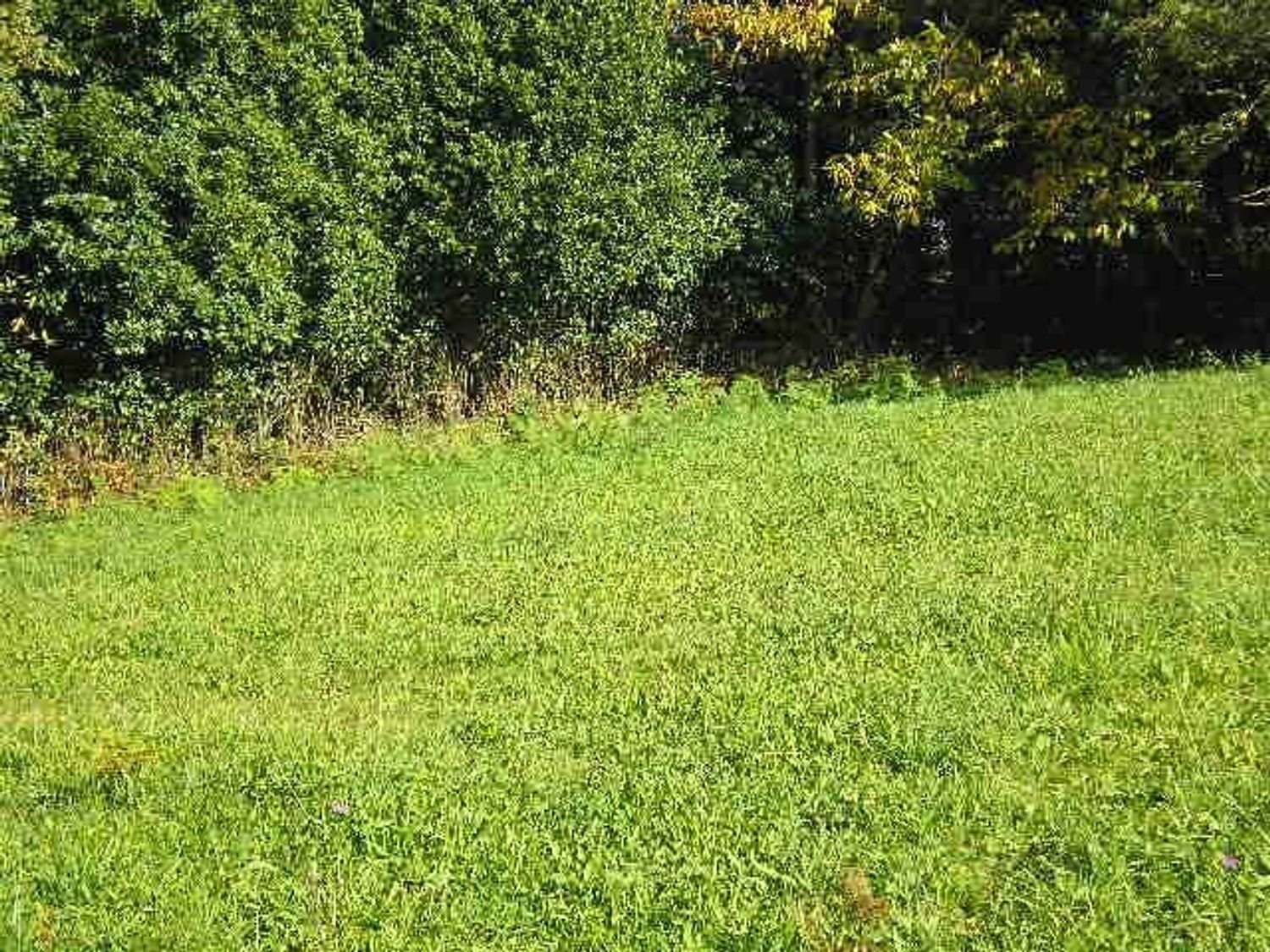 Fincas y solares-Venta-Cudillero-911053-Foto-30