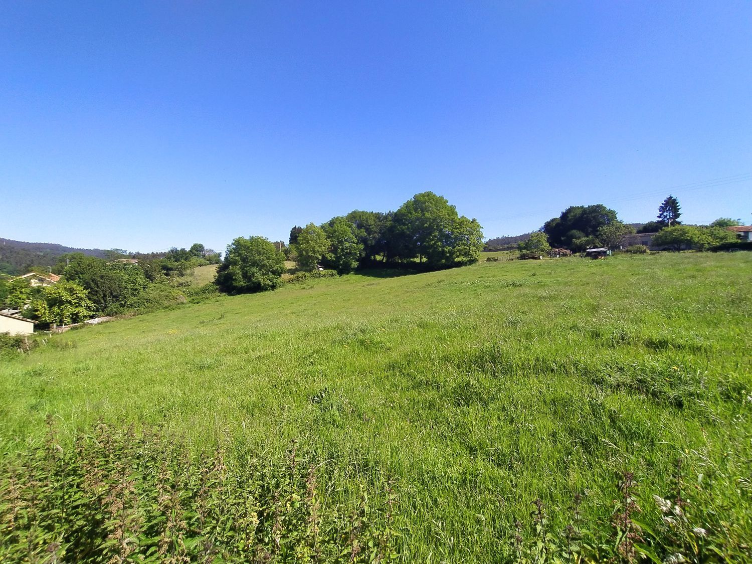 Fincas y solares-Venta-Llanera-449484