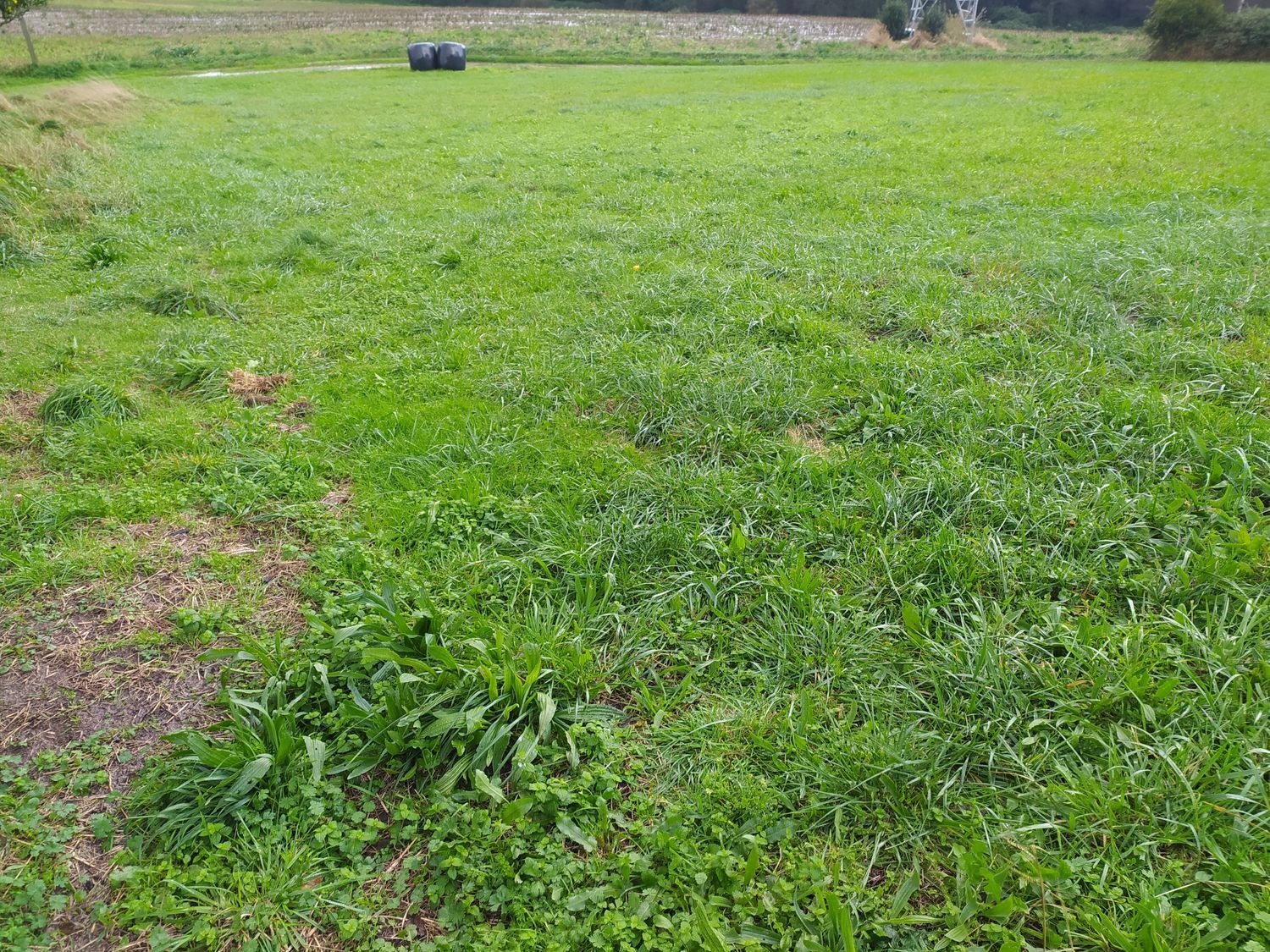 Fincas y solares-Venta-778030