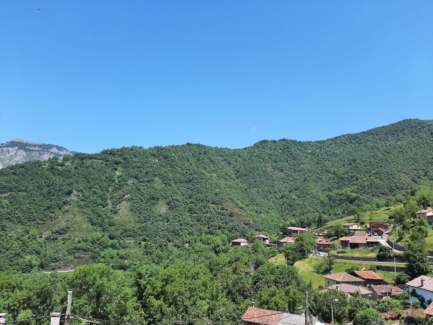 Casas o chalets-Venta-Oseja de Sajambre-582462-Foto-18