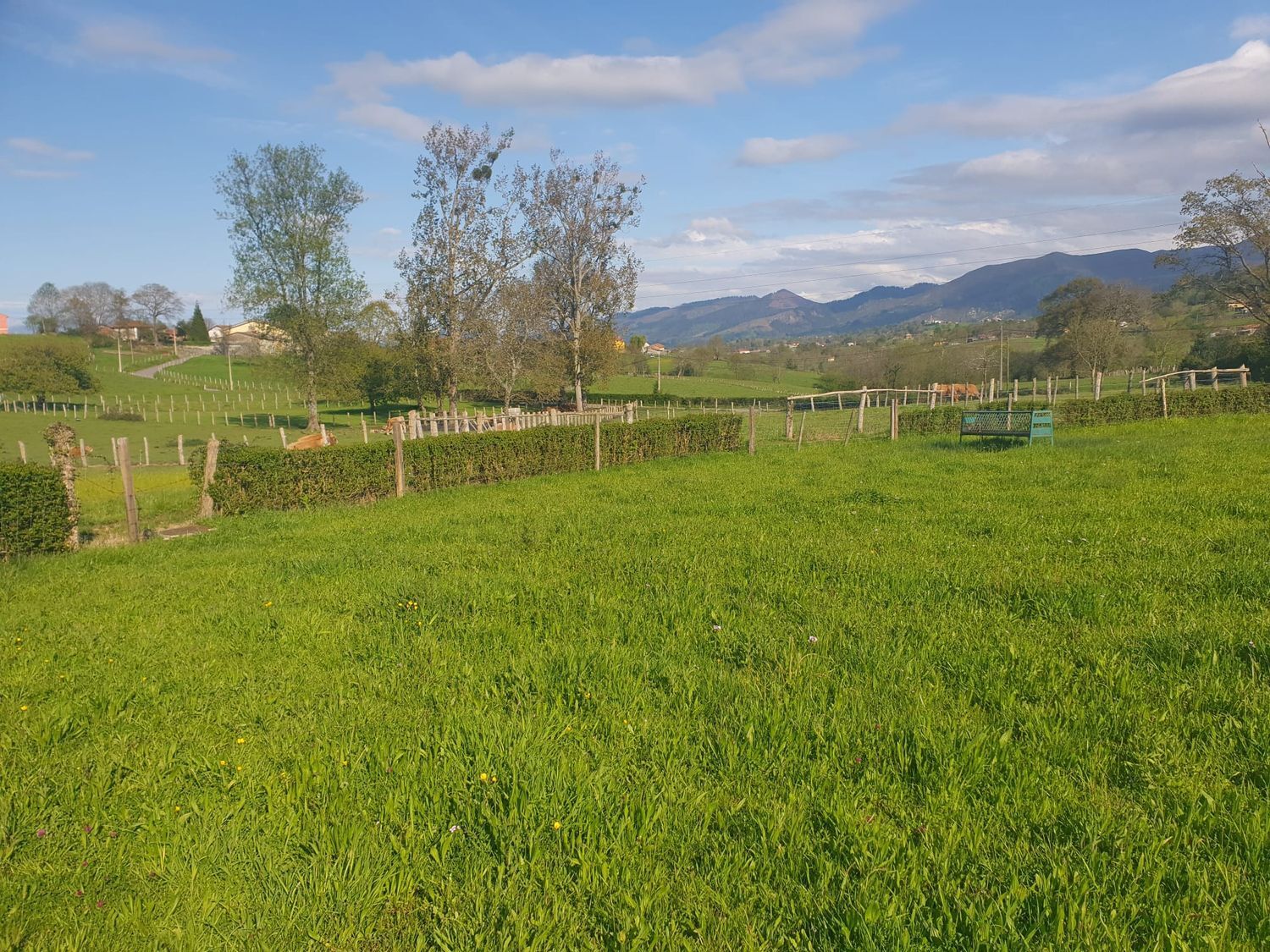 Fincas y solares-Venta-Las Navas del Marqués-700382