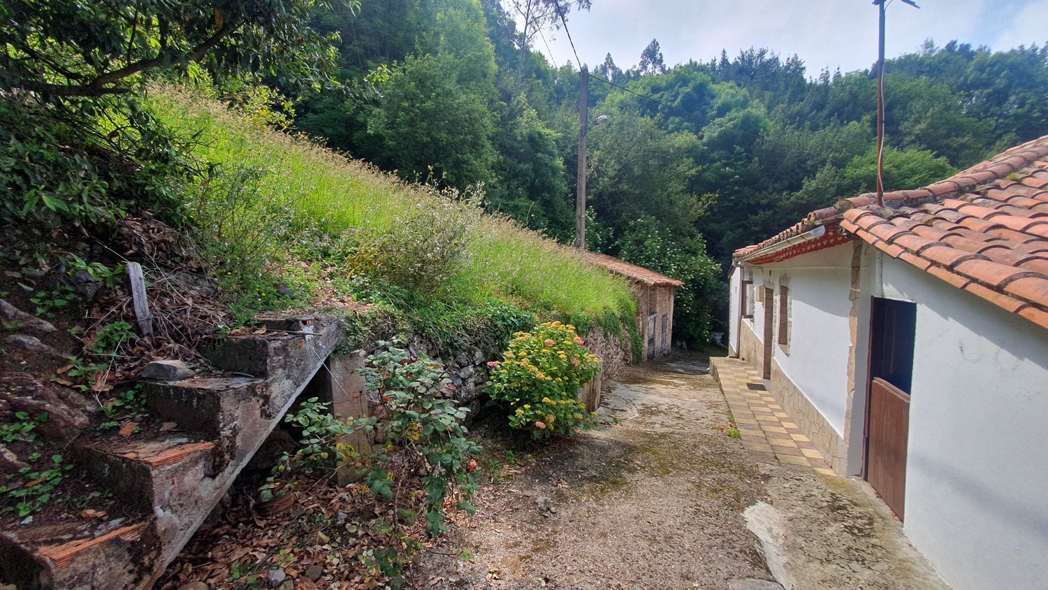 Casas o chalets-Venta-Soto del Barco-876805-Foto-15