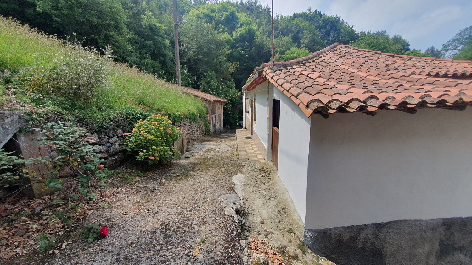 Casas o chalets-Venta-Soto del Barco-876805-Foto-34