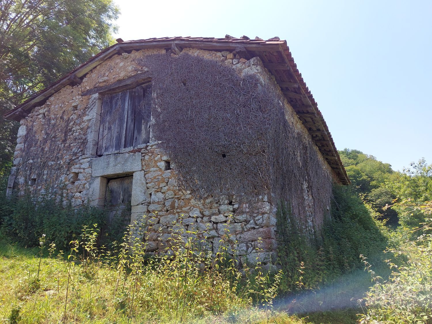 Propiedad en venta en Asturias, Onís
