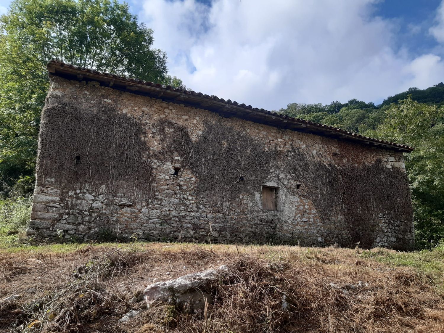 Propiedad en venta en Asturias, Onís