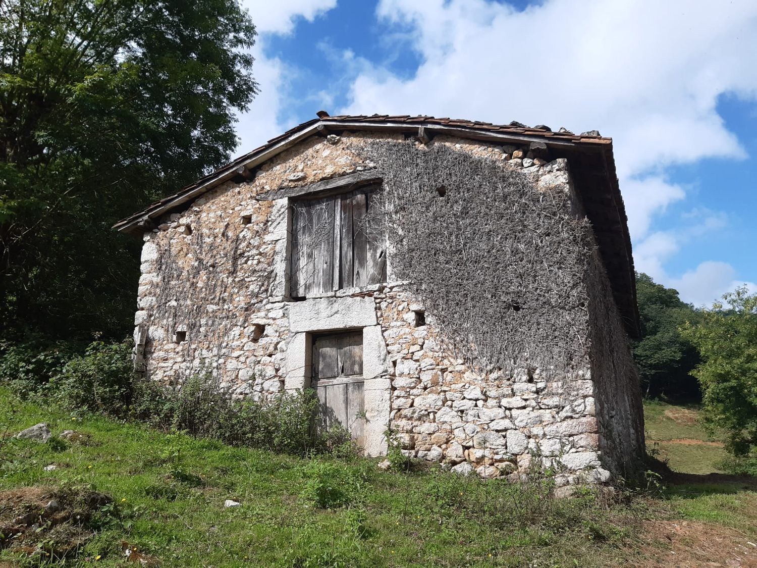 Propiedad en venta en Asturias, Onís