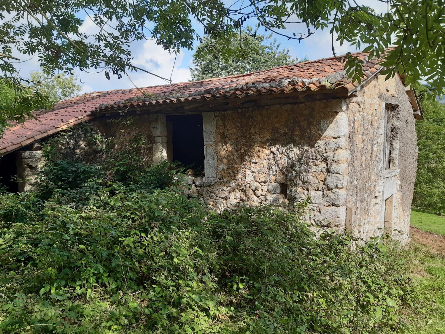Propiedad en venta en Asturias, Onís