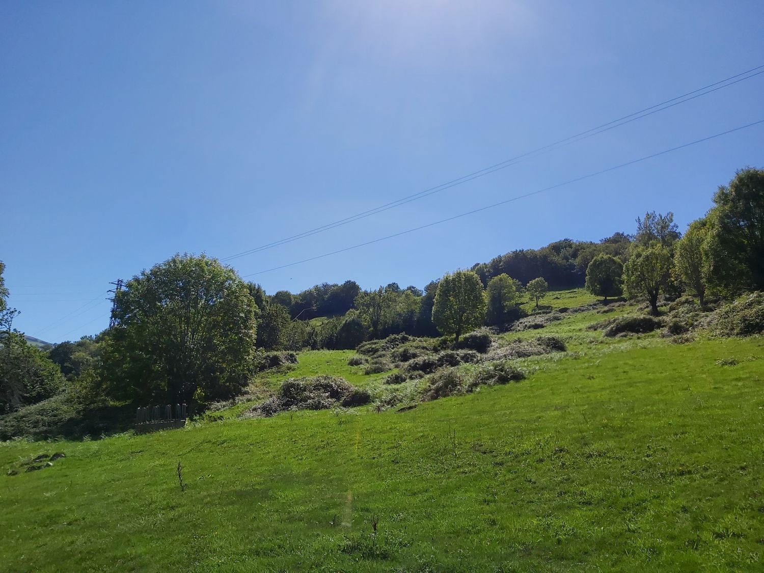 Propiedad en venta en Asturias, Onís