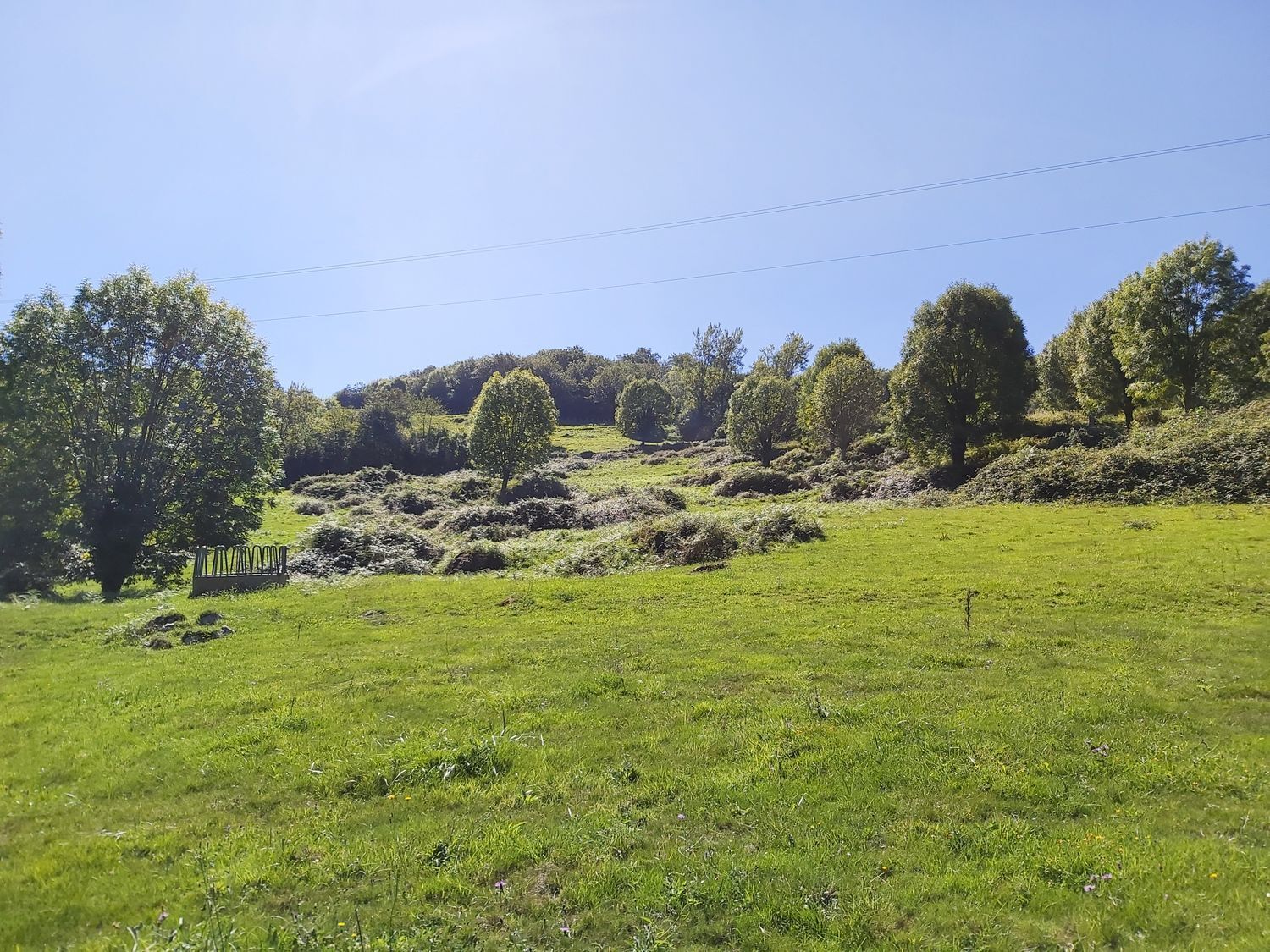 Propiedad en venta en Asturias, Onís