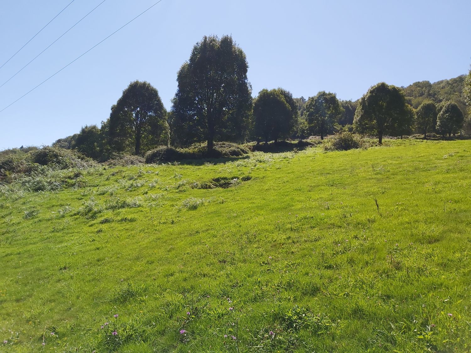 Propiedad en venta en Asturias, Onís