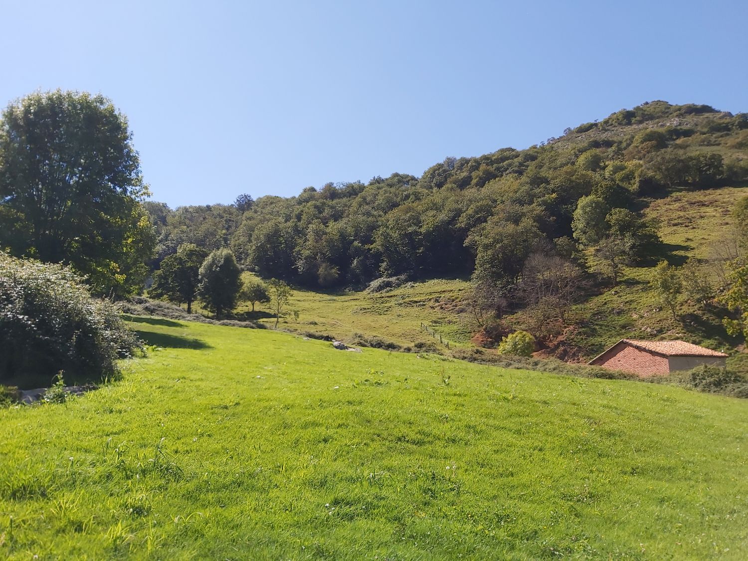 Propiedad en venta en Asturias, Onís