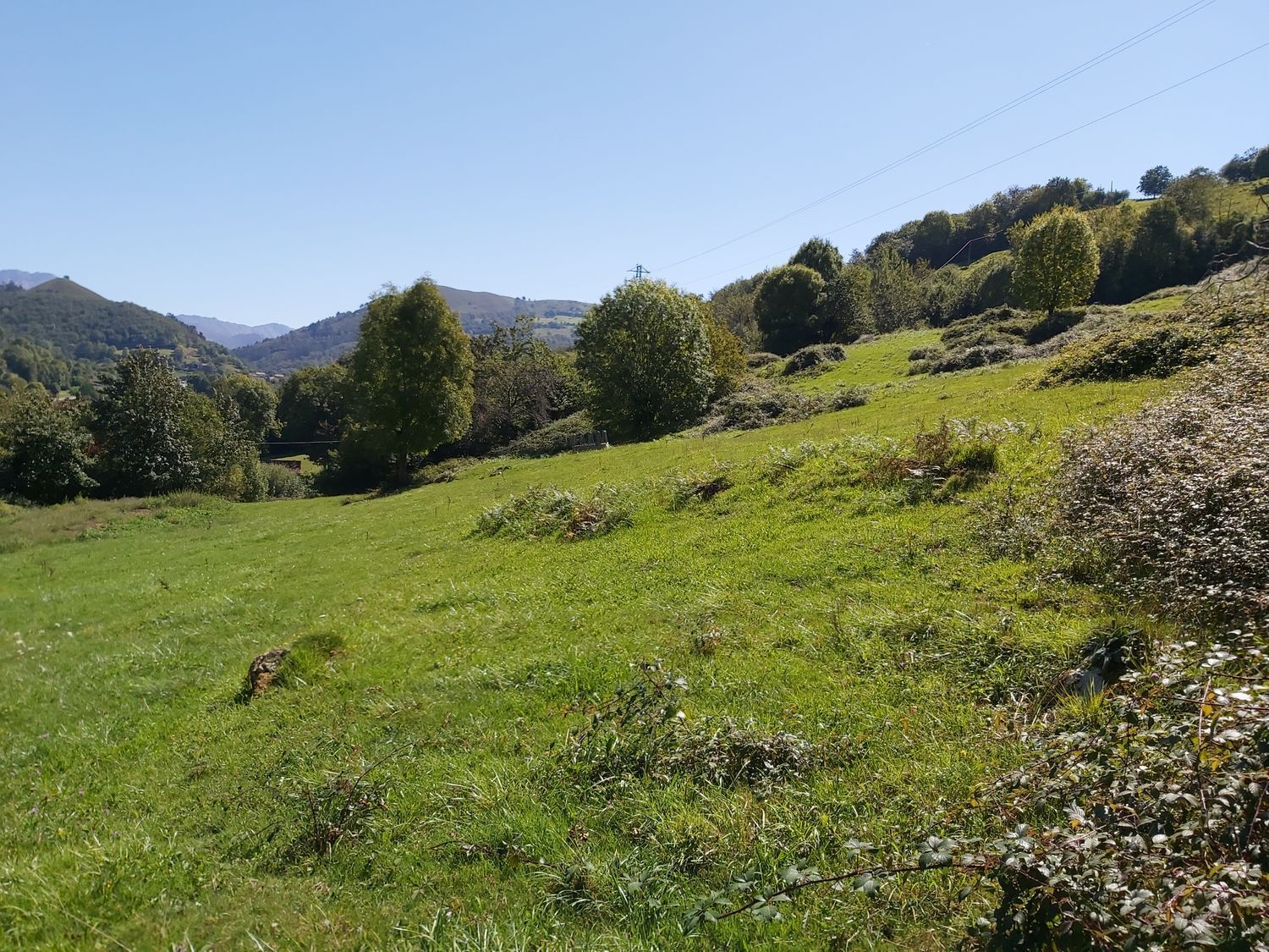 Propiedad en venta en Asturias, Onís