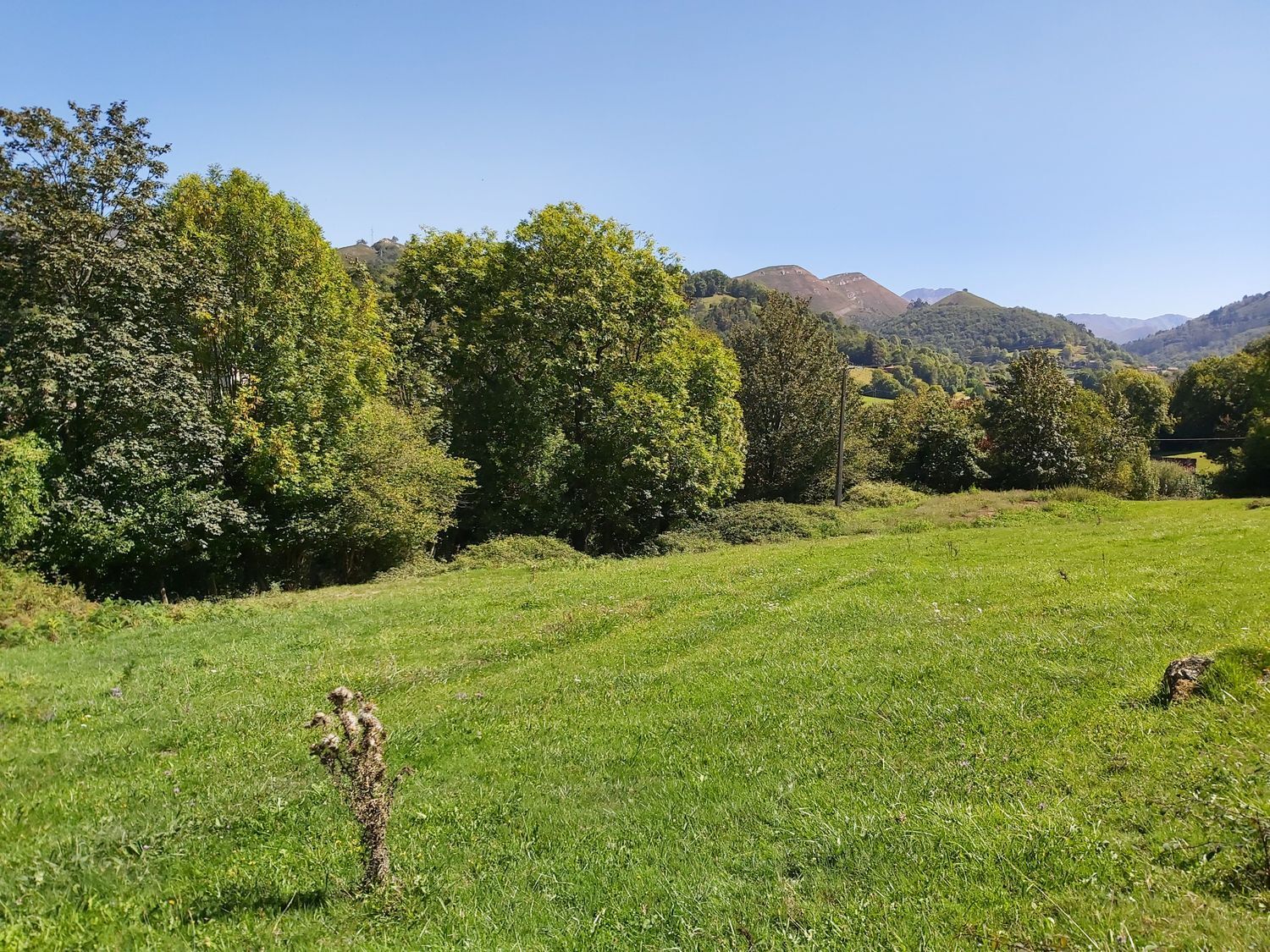 Propiedad en venta en Asturias, Onís