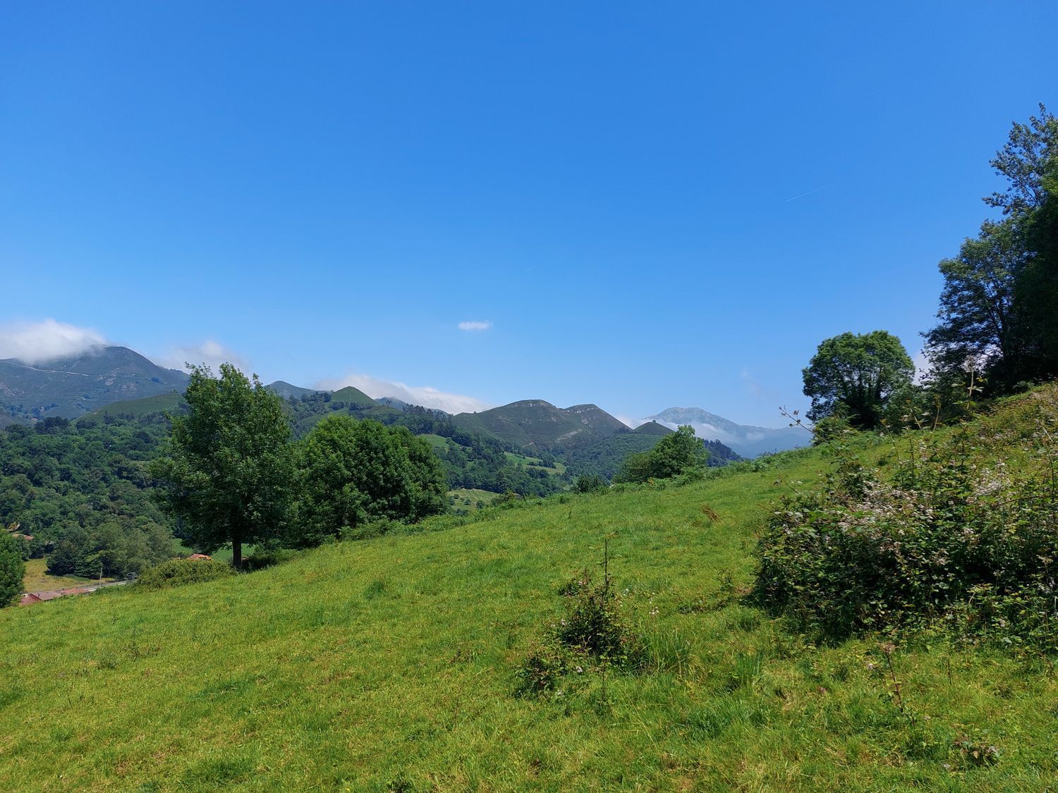 Propiedad en venta en Asturias, Onís