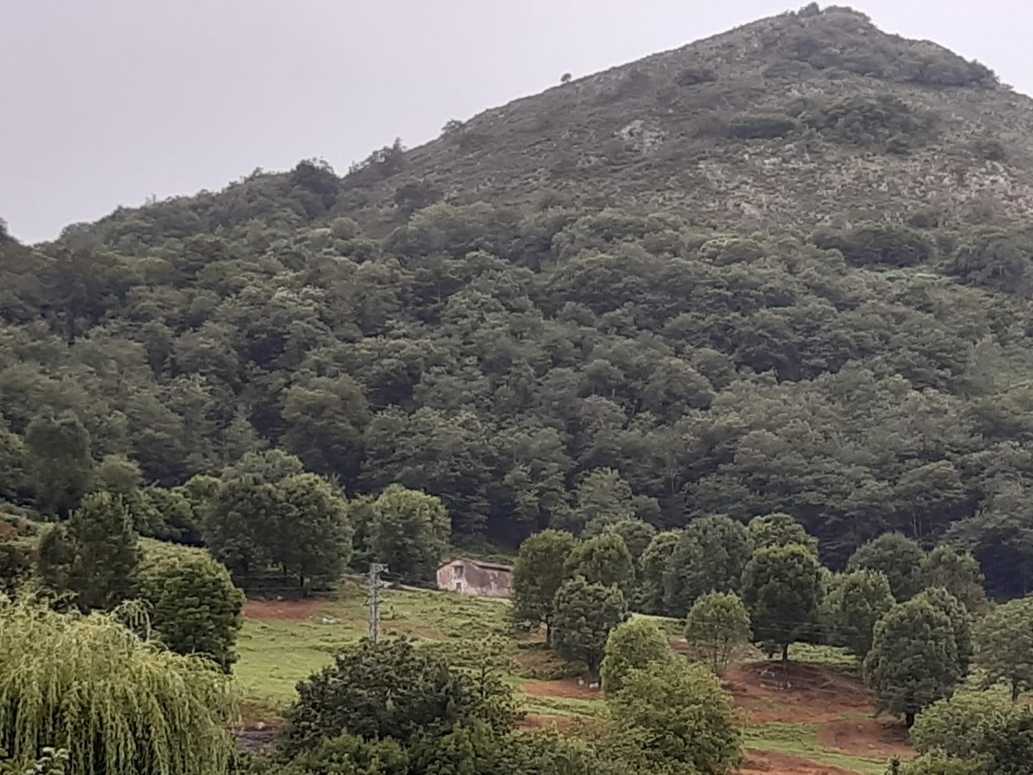 Propiedad en venta en Asturias, Onís