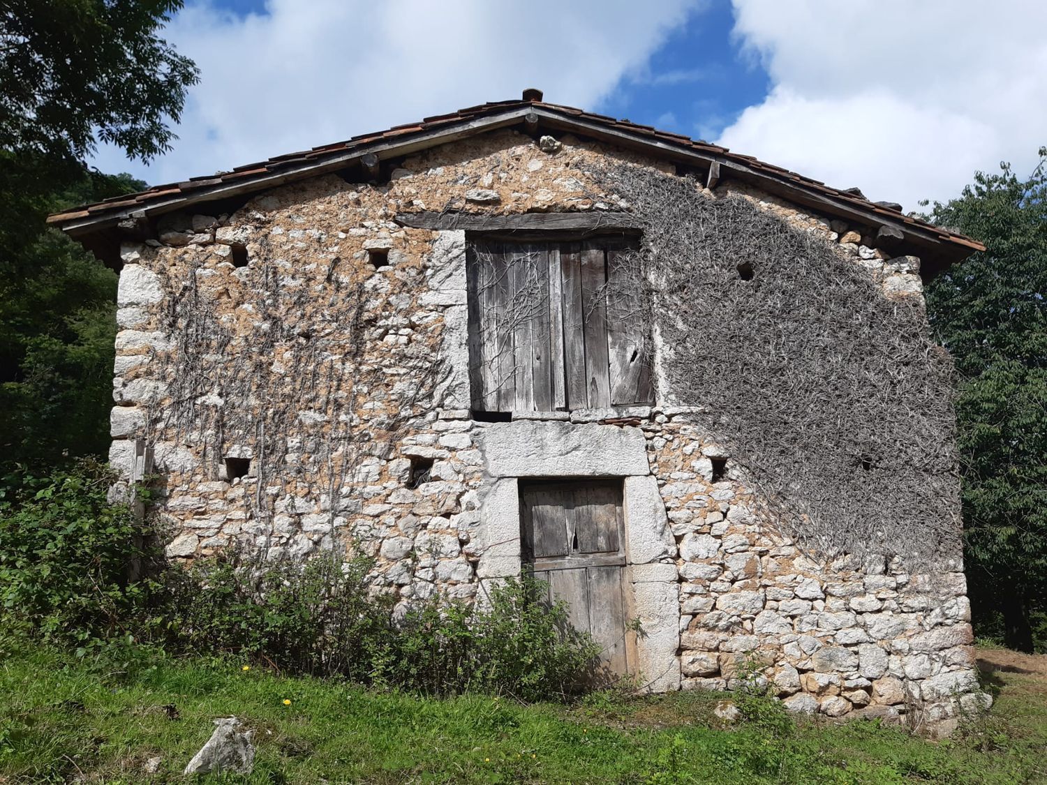 Propiedad en venta en Asturias, Onís