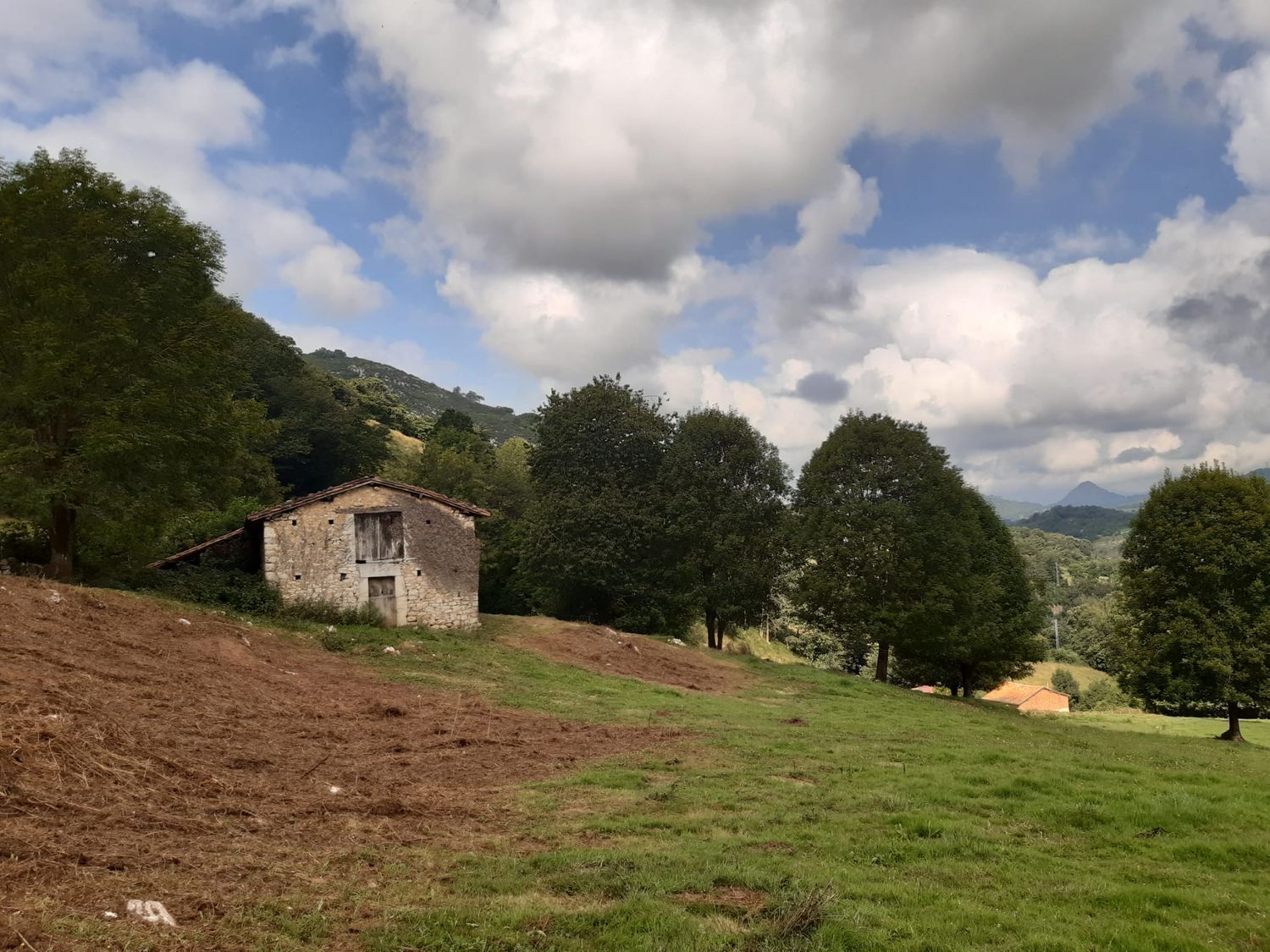 Propiedad en venta en Asturias, Onís
