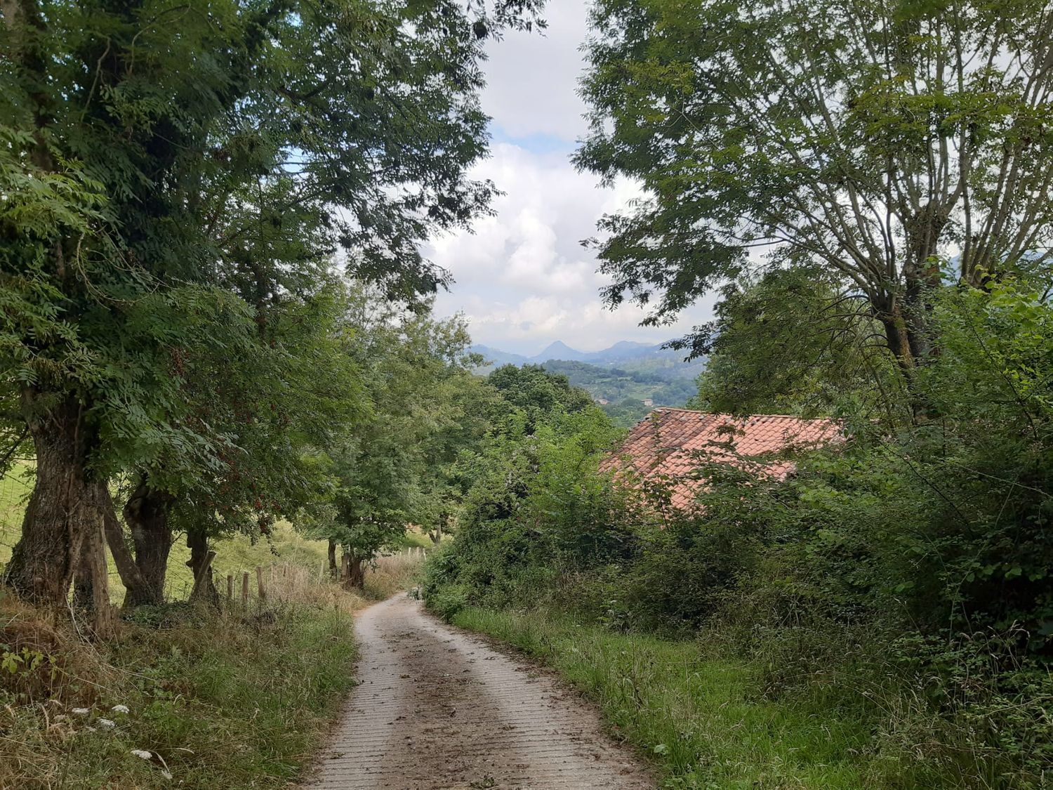 Propiedad en venta en Asturias, Onís