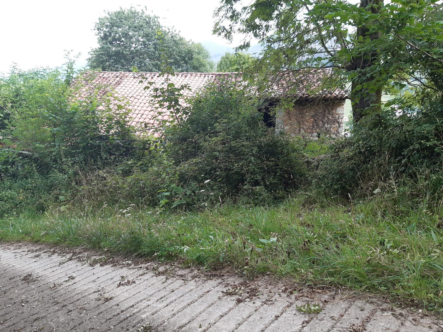 Propiedad en venta en Asturias, Onís