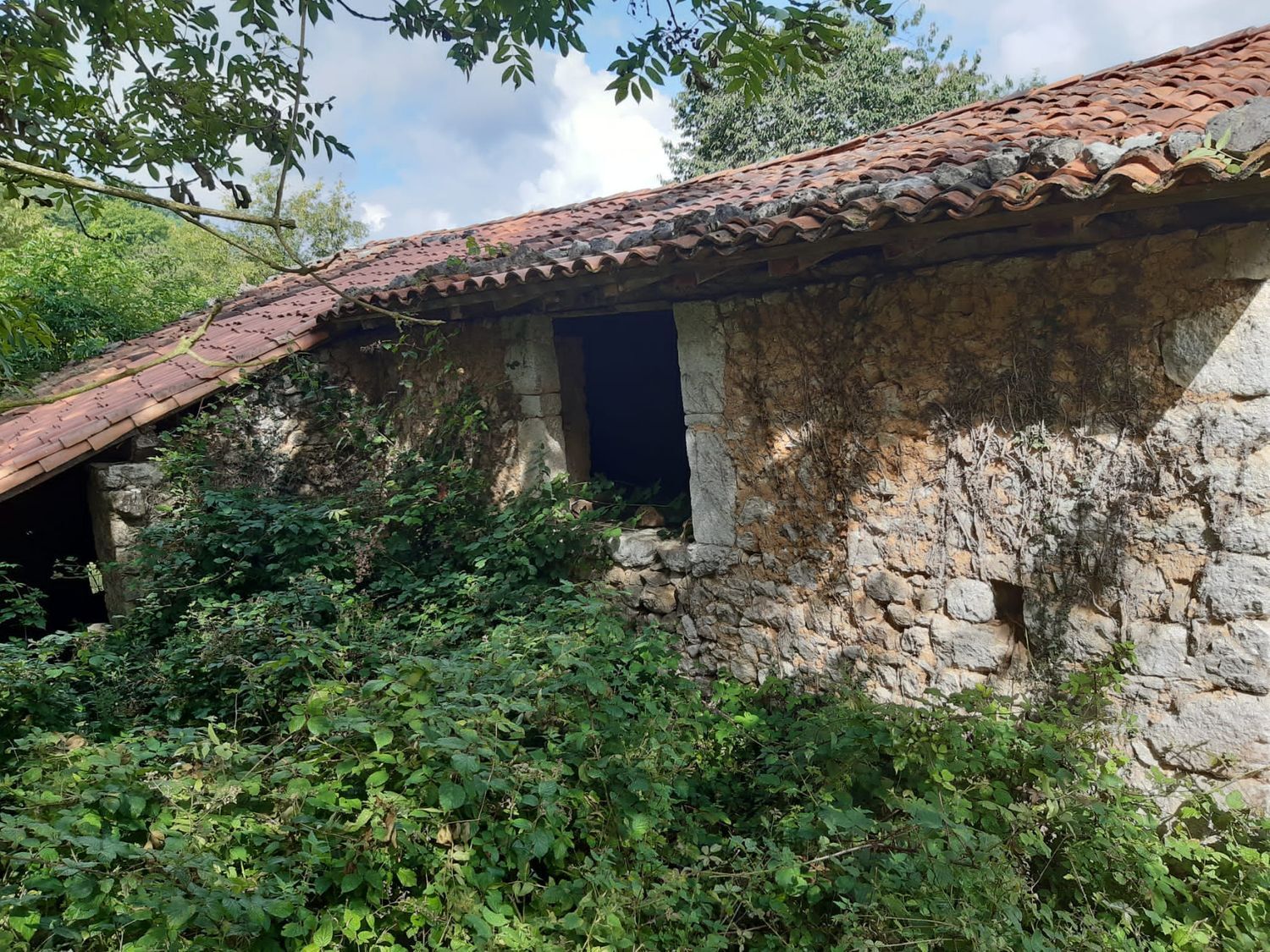 Propiedad en venta en Asturias, Onís