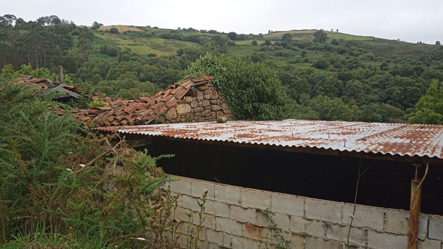 Casas o chalets-Venta-Siero-623989-Foto-11