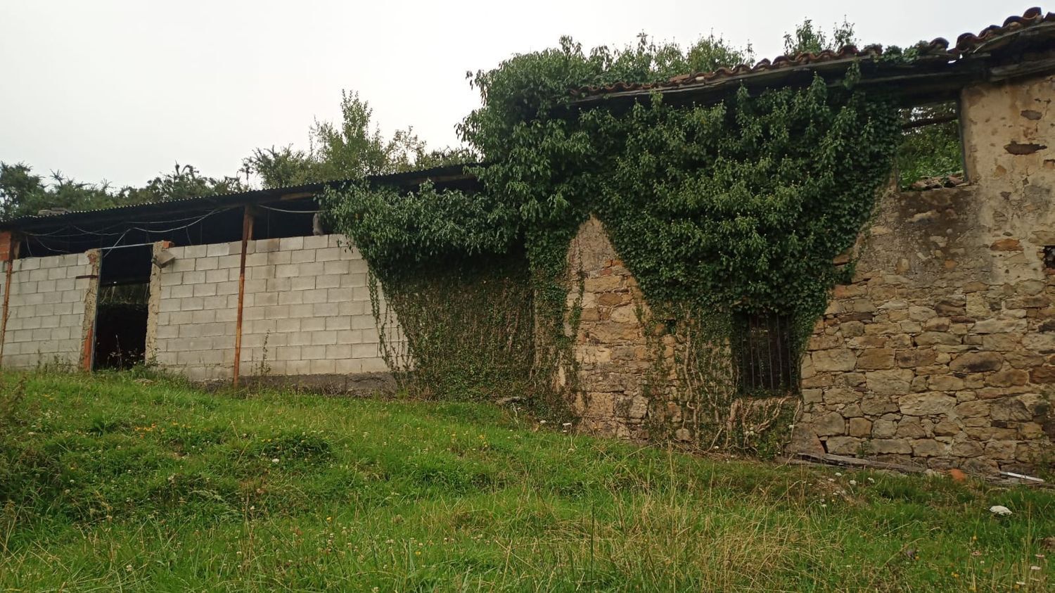 Casas o chalets-Venta-Siero-623989-Foto-13