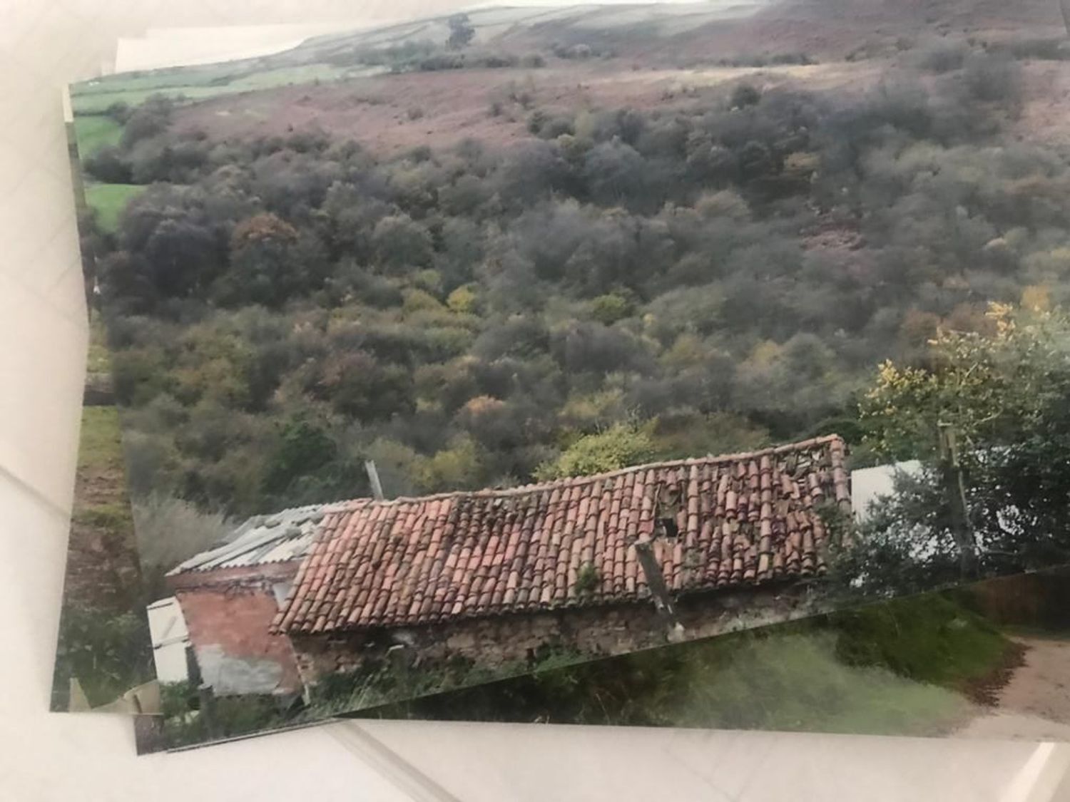Casas o chalets-Venta-Siero-623989-Foto-17
