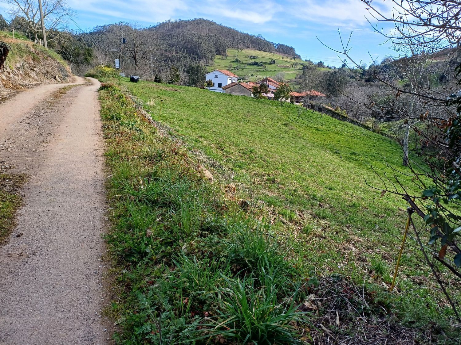 Casas o chalets-Venta-Las Tres Villas-1683033-Foto-63