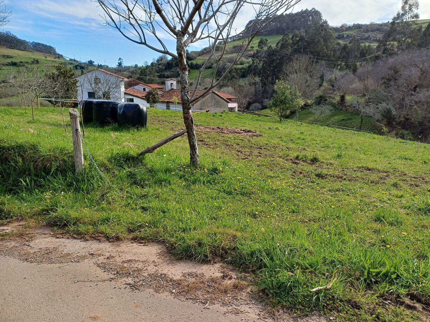 Casas o chalets-Venta-Las Tres Villas-1683033-Foto-61