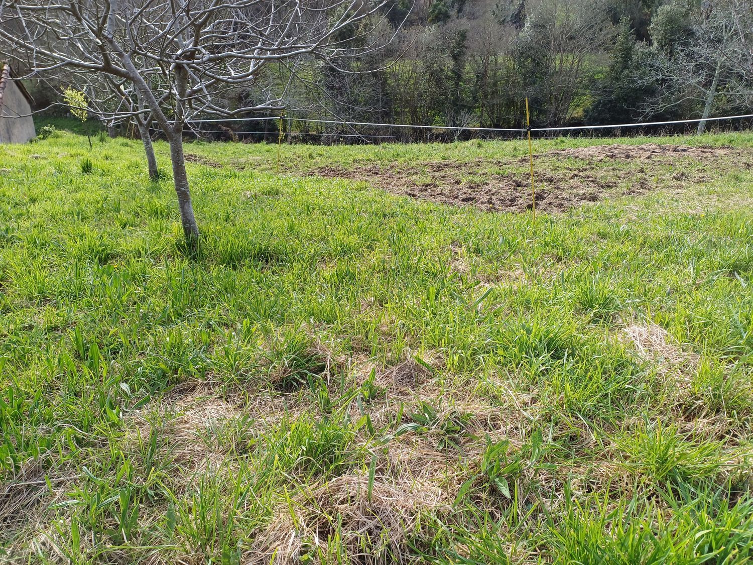 Casas o chalets-Venta-Las Tres Villas-1683033-Foto-60