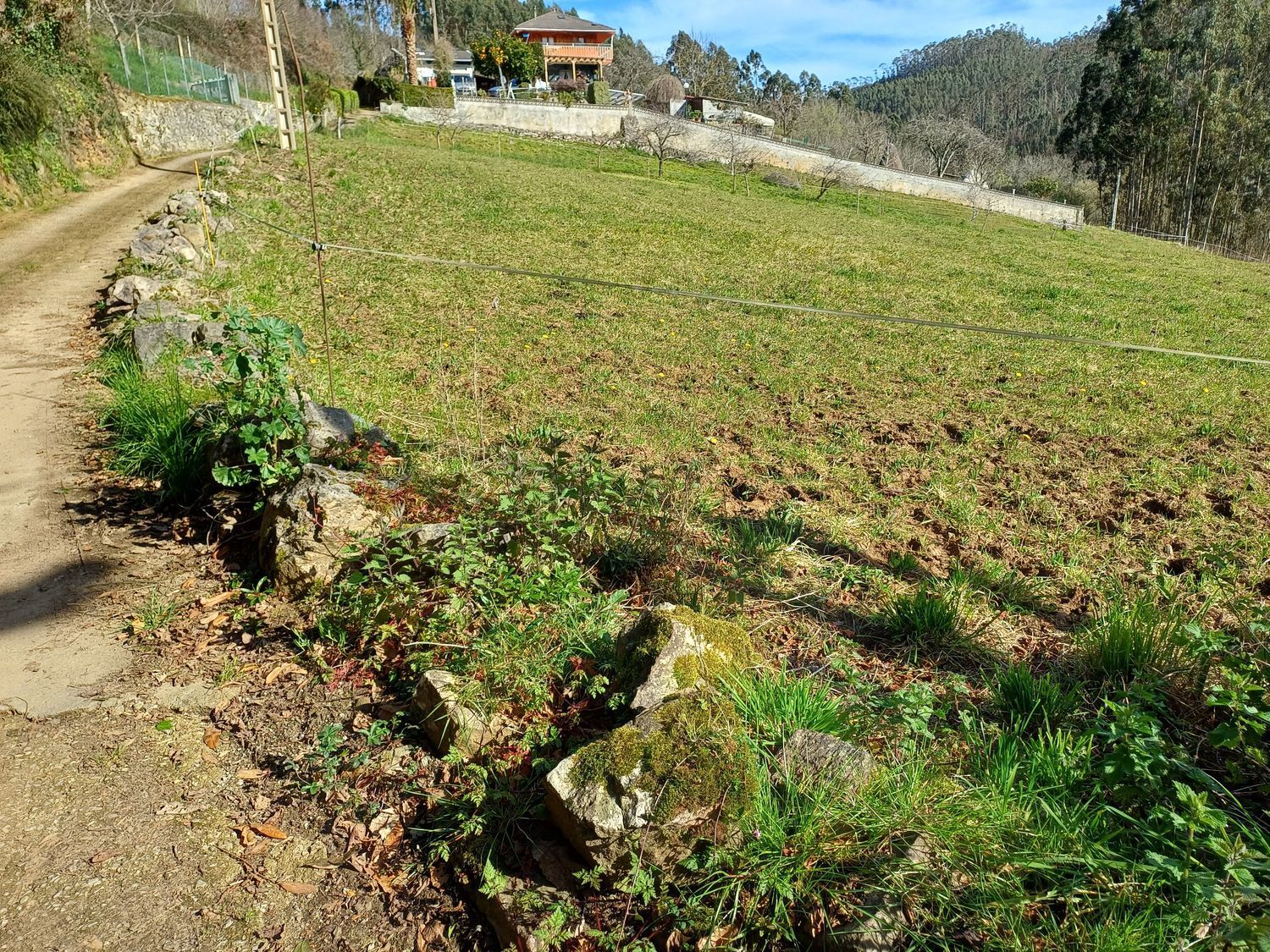 Casas o chalets-Venta-Las Tres Villas-1683033-Foto-72