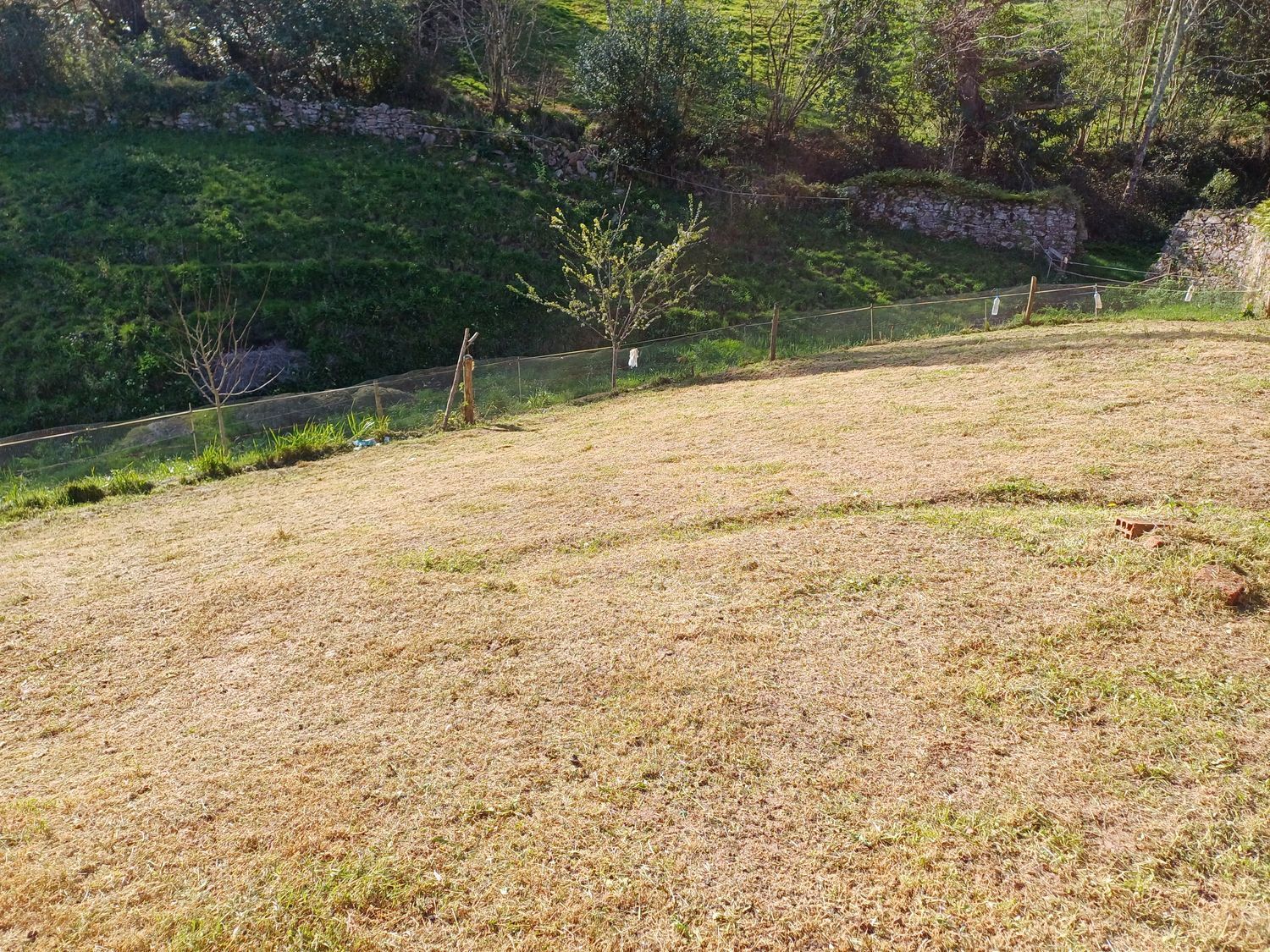 Casas o chalets-Venta-Las Tres Villas-1683033-Foto-82