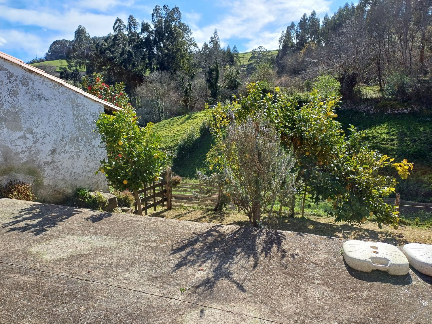 Casas o chalets-Venta-Las Tres Villas-1683033-Foto-84
