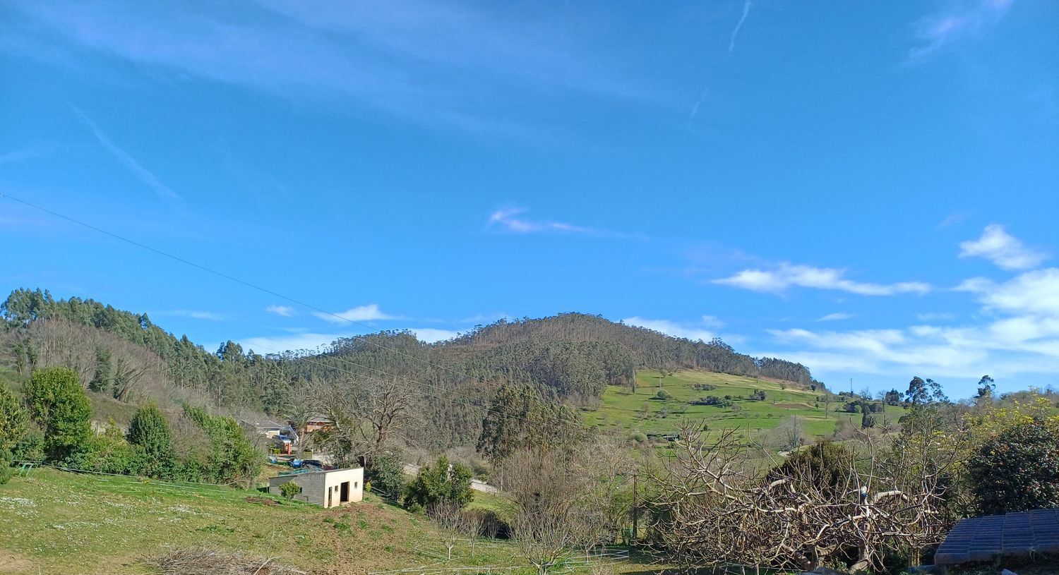 Casas o chalets-Venta-Las Tres Villas-1683033-Foto-86