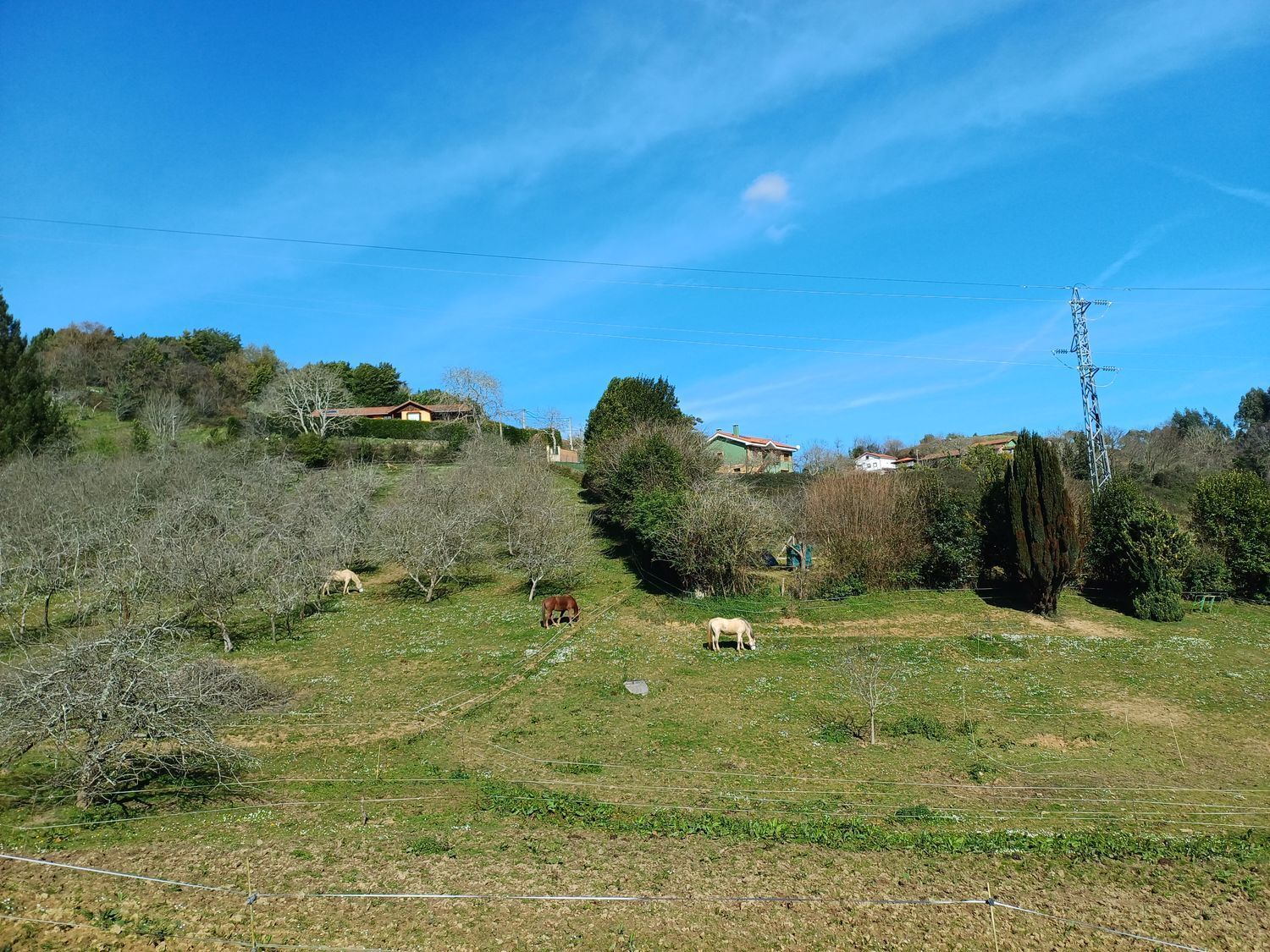 Casas o chalets-Venta-Las Tres Villas-1683033-Foto-89