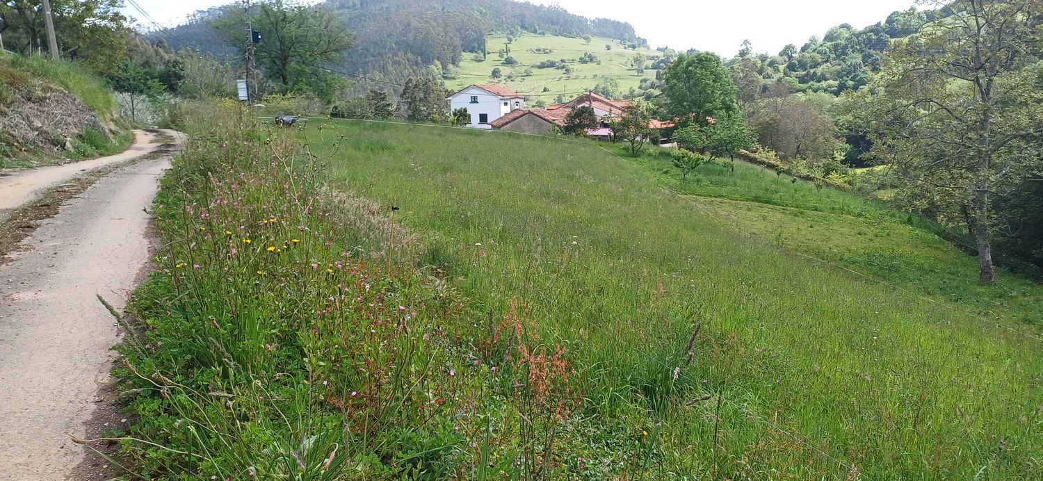 Fincas y solares-Venta-Las Tres Villas-1731766-Foto-2