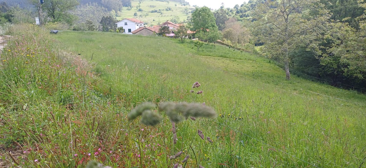 Fincas y solares-Venta-Las Tres Villas-1731766-Foto-8