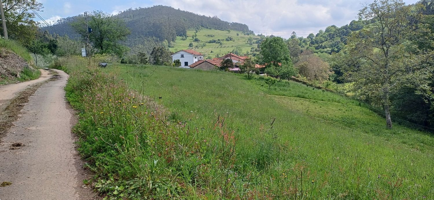 Fincas y solares-Venta-Las Tres Villas-1731766-Foto-6