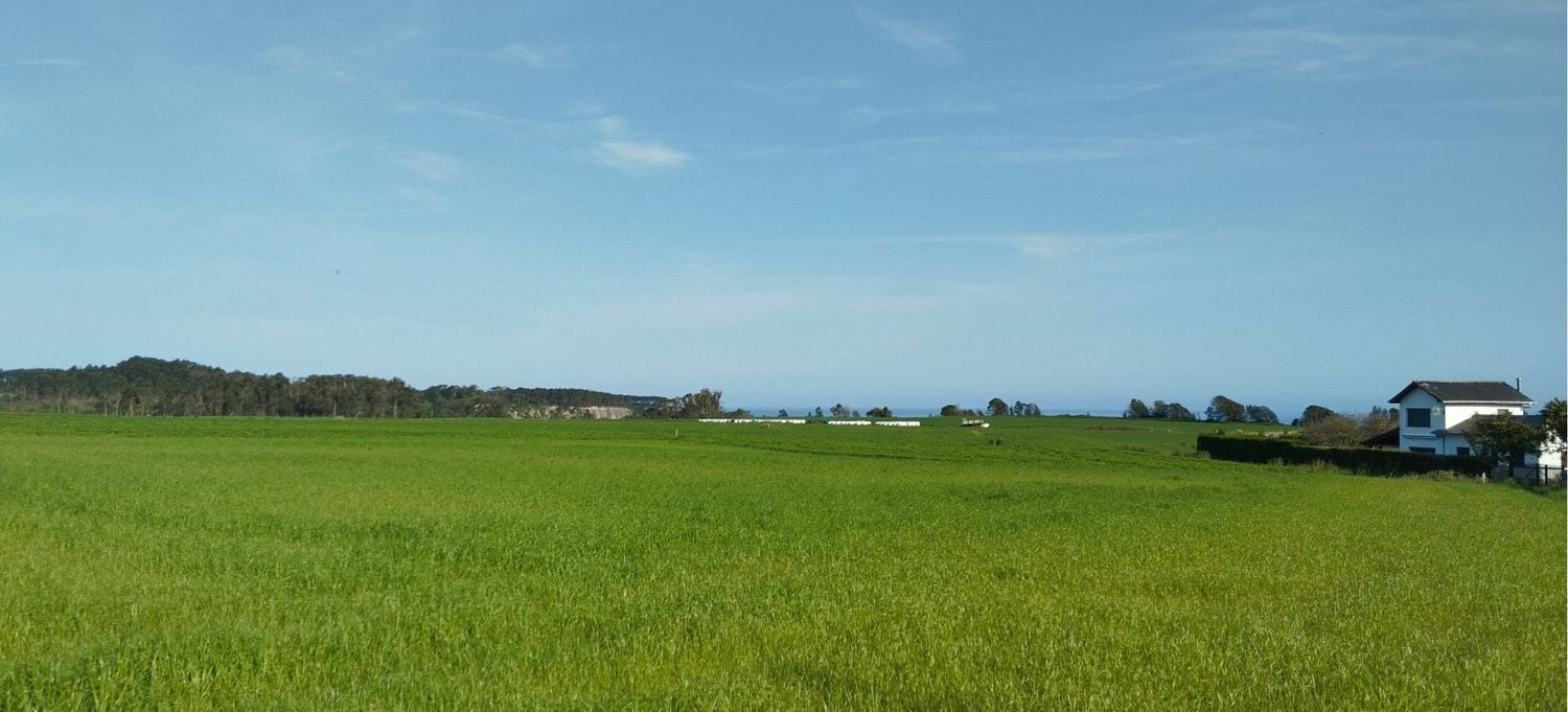 Fincas y solares-Venta-Valdés-1761675