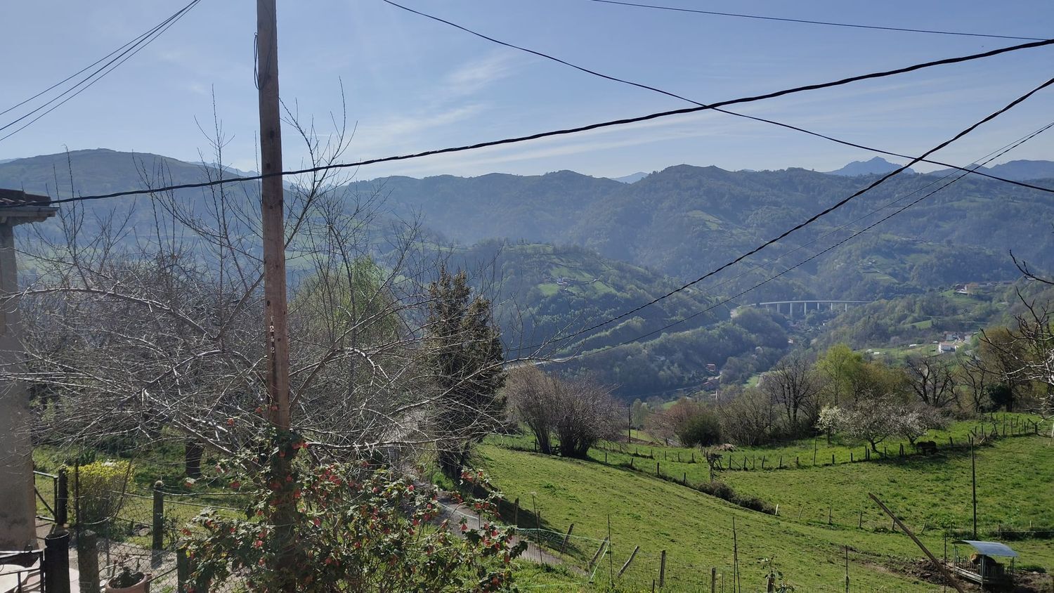 Casas o chalets-Venta-San MartÃ­n del Rey Aurelio-1718146-Foto-19