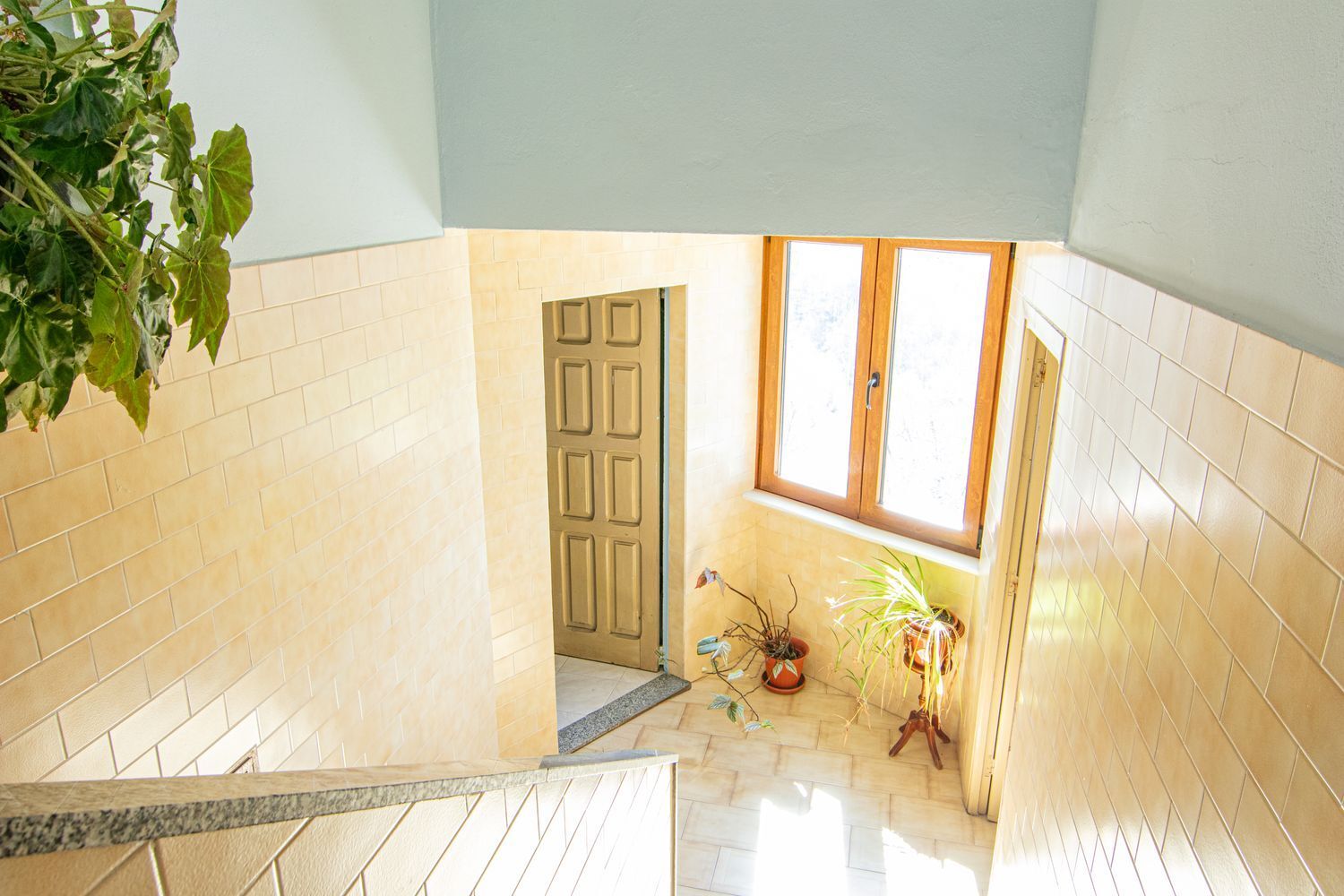Casas o chalets-Venta-Mieres-1706252-Foto-30